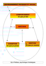 Le symptôme en thérapie cognitvo-comportementale