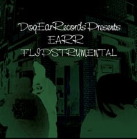 EARR - FLIPSTRUMENTAL