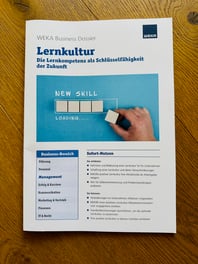 Lernkultur E-Dossier von Christine Meyer, Consulting und Coaching. 