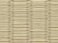 銀白100A　若草色