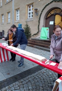 Rathaus, Stollenanschnitt 2022