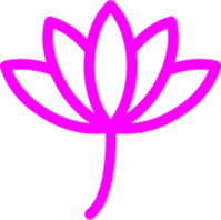 arte-terranovas Webseite!