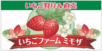 いちごファームミモザ