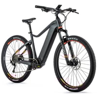 Ebike Leaderfox