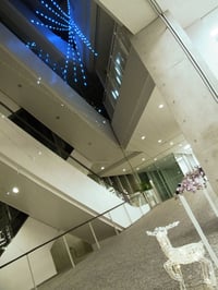 クリスマスイルミネーション 取付施工事例 東京都文京区 東洋学園大学様 横浜スイートクリスマスカンパニー