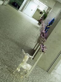 クリスマスイルミネーション 取付施工事例 東京都文京区 東洋学園大学様 横浜スイートクリスマスカンパニー