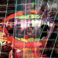 Animal Collective - Centipede Hz