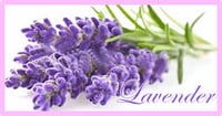 ラベンダーの香り