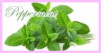 ペパーミント