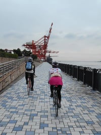 青海を抜けると、きりんさん(ガントリークレーン)が近づいてきます。