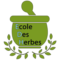 Ecole des Herbes, herboristerie pratique