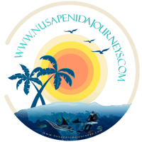 www.nusapenidajourneys.com