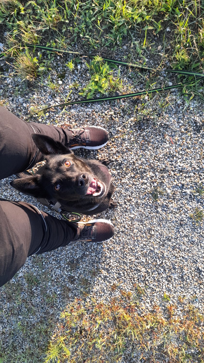 Veränderung beginnt mit der Veränderung!