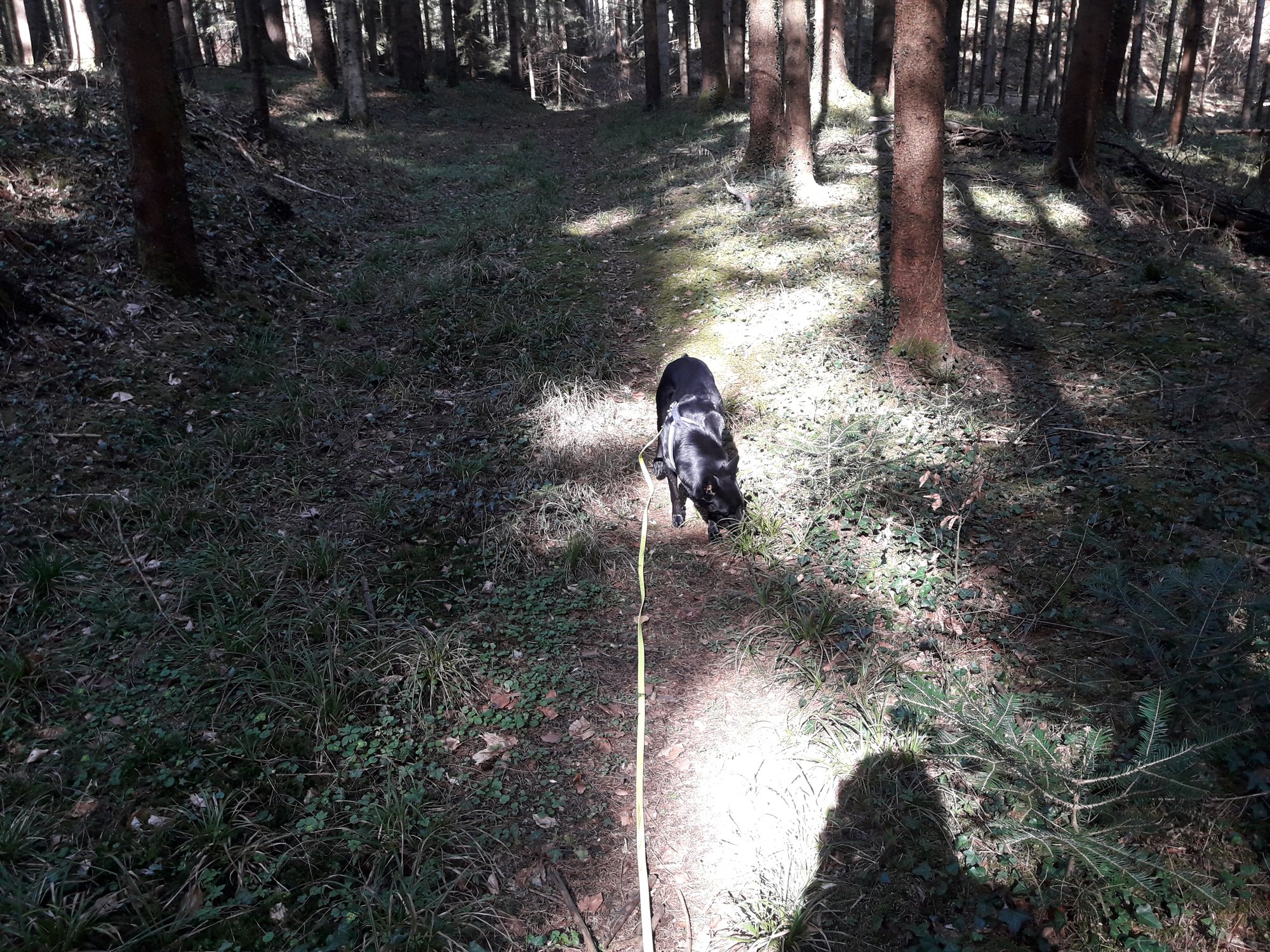 Müssen wir immer funktionieren?