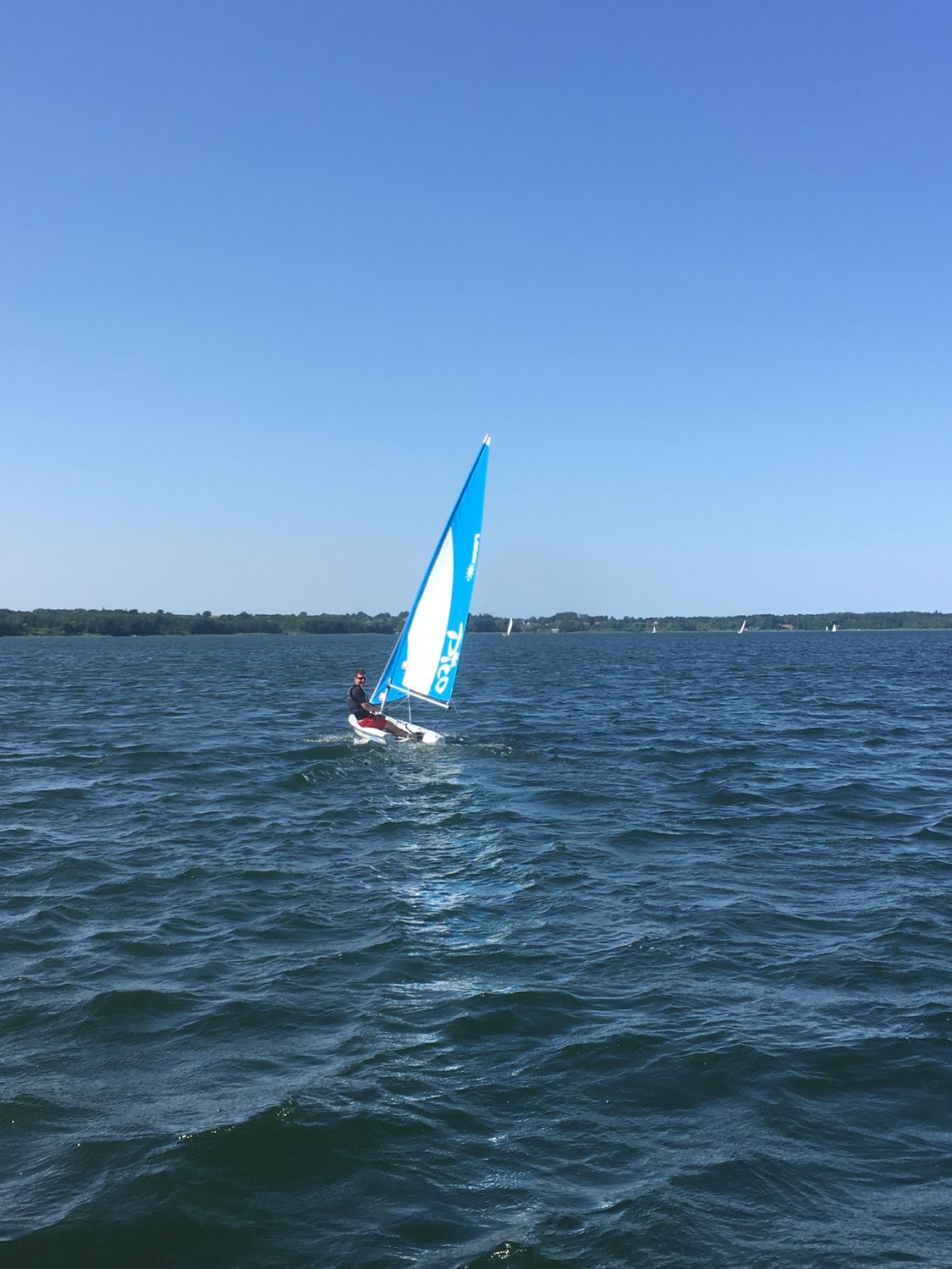 Schöner Segelwind am Sonntag