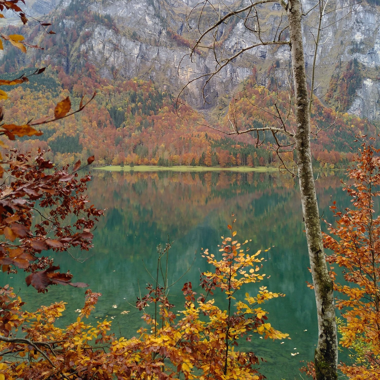 Laubfärbung im Herbst
