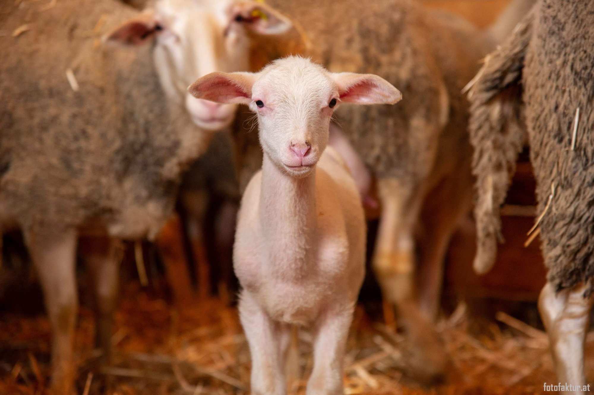 »Hin & weg« im Reich der Fantasie | Bericht im Magazin BIORAMA