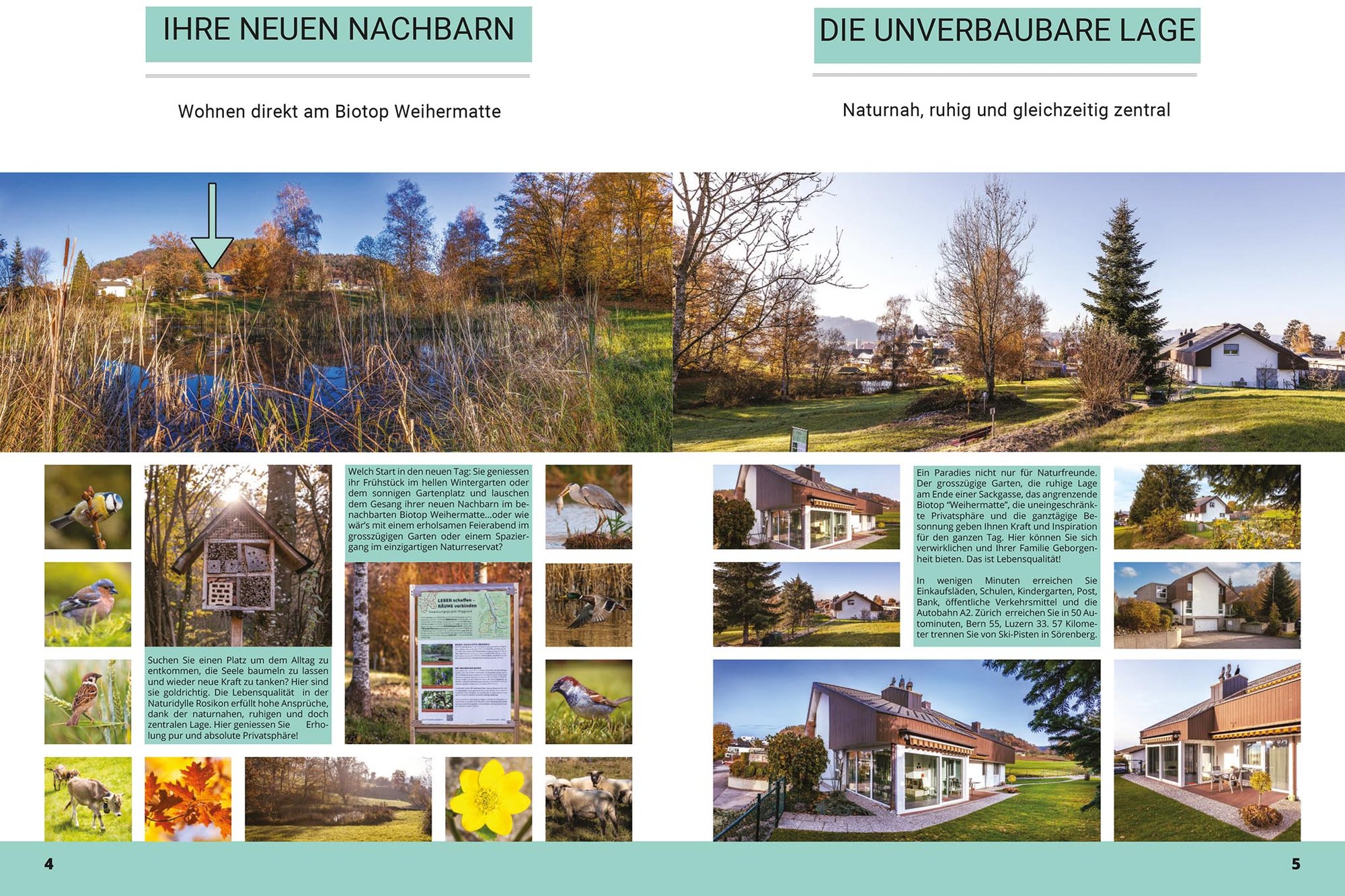 Immobilienbroschüre: Fotos & Design