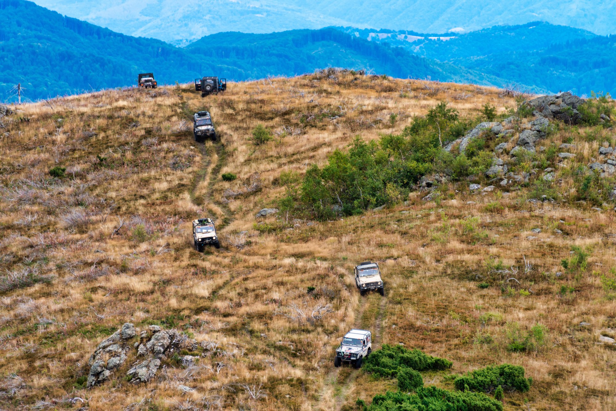 ONE-Trophy 2019: Sieg!