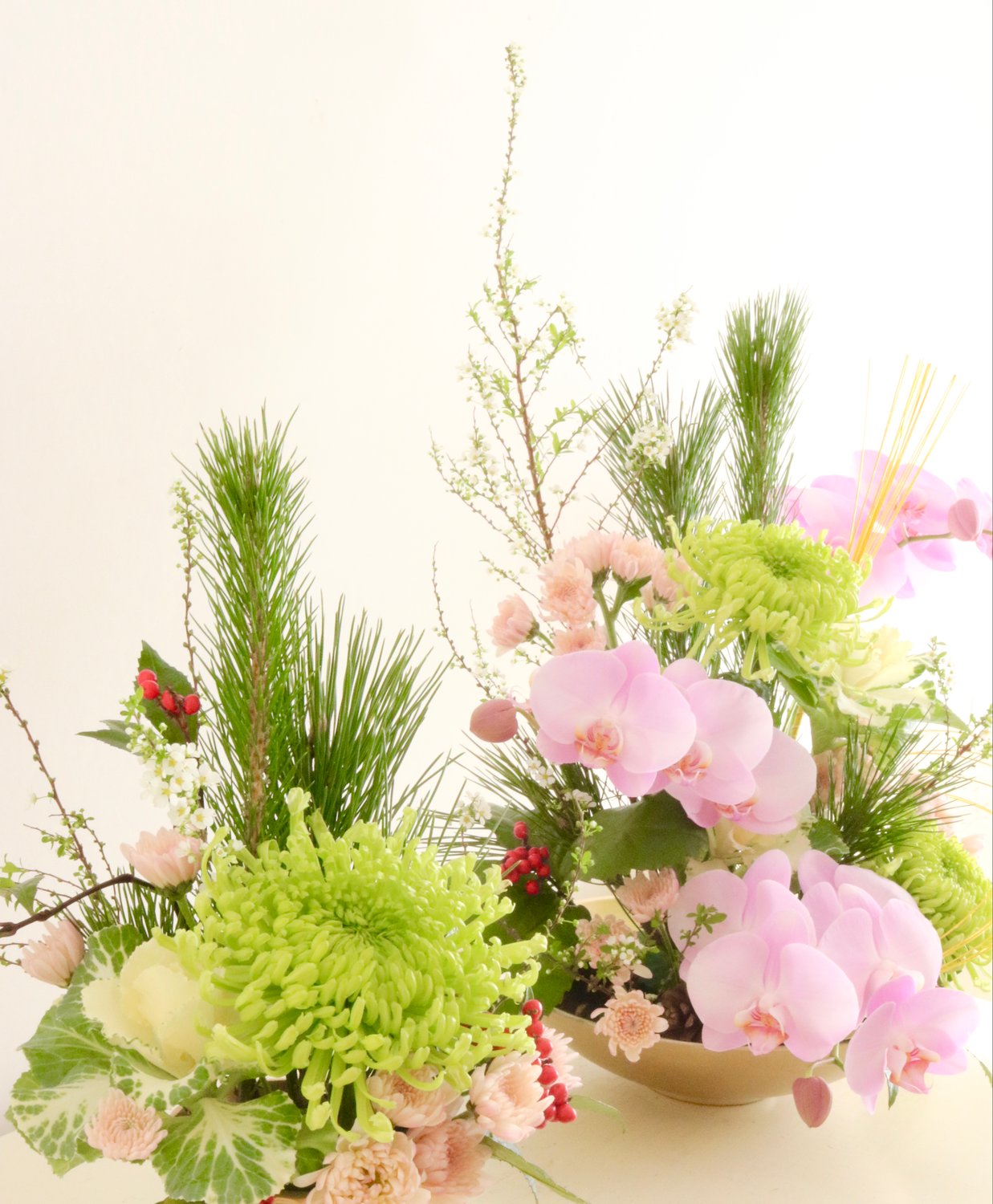 あけましておめでとうございます