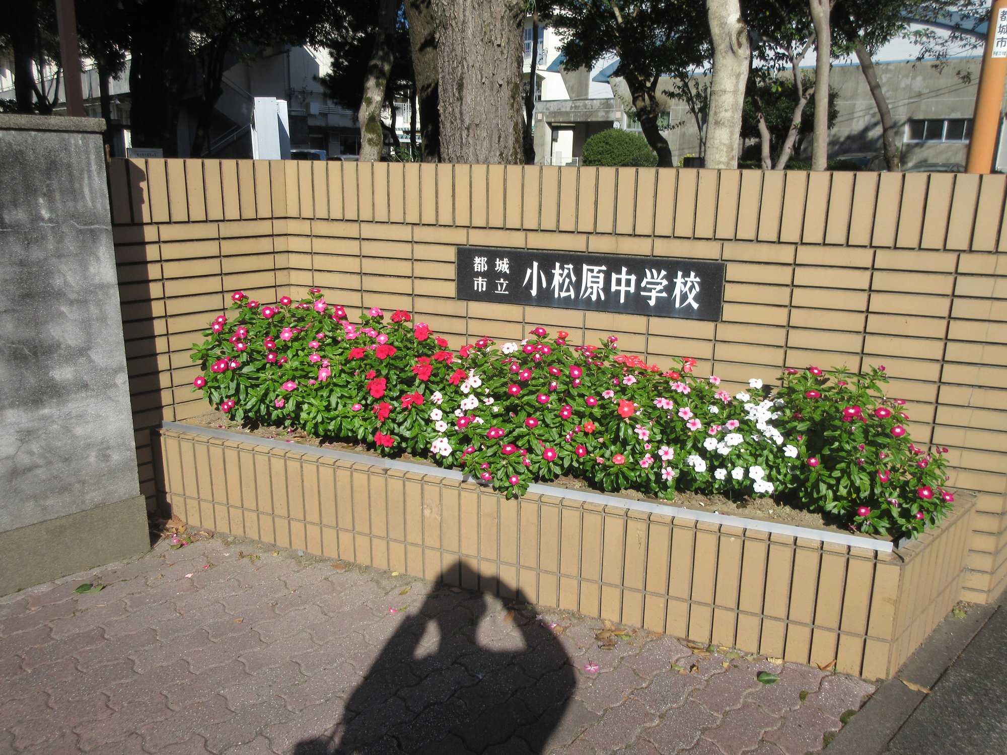 都城市大王小小松原中PTA研修会