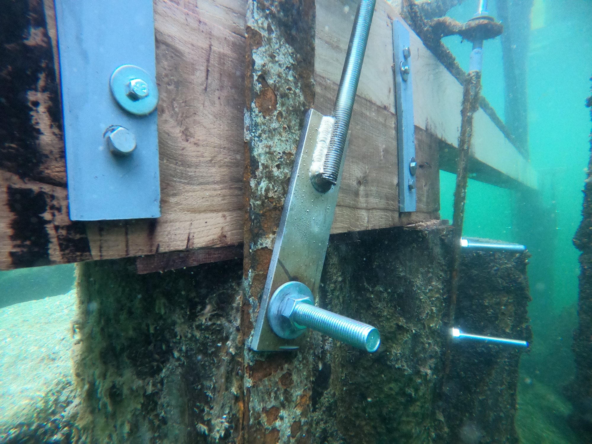 Sanierung am Kursschiffssteg Buonas – Präzisionsarbeit unter Wasser