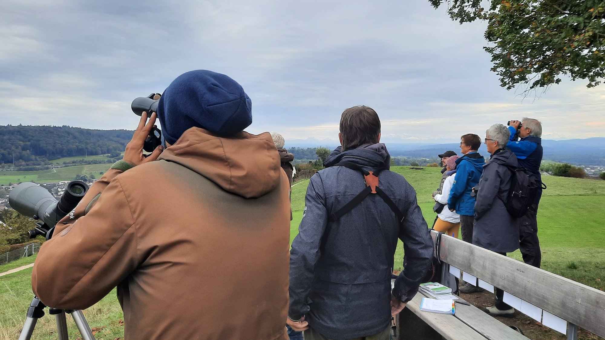 Vogelzugbeobachtung auf dem Galgenbuck am EuroBirdwatch 2024