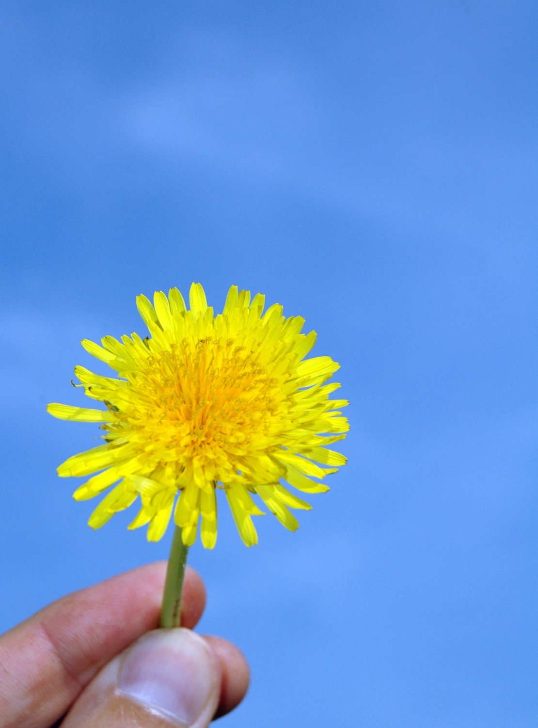 3 Tips for Getting Moving this Spring!