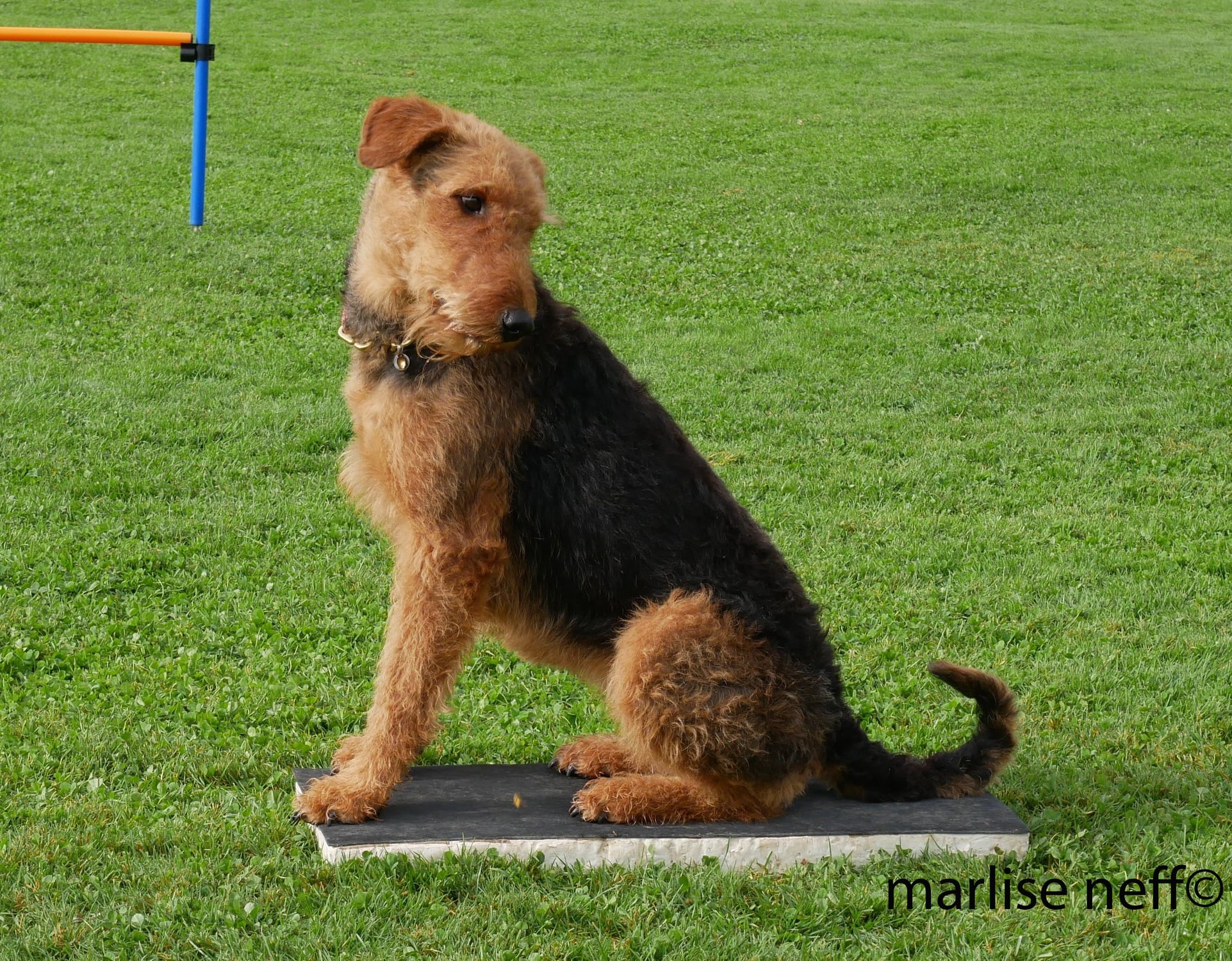 Positionen aus der Bewegung