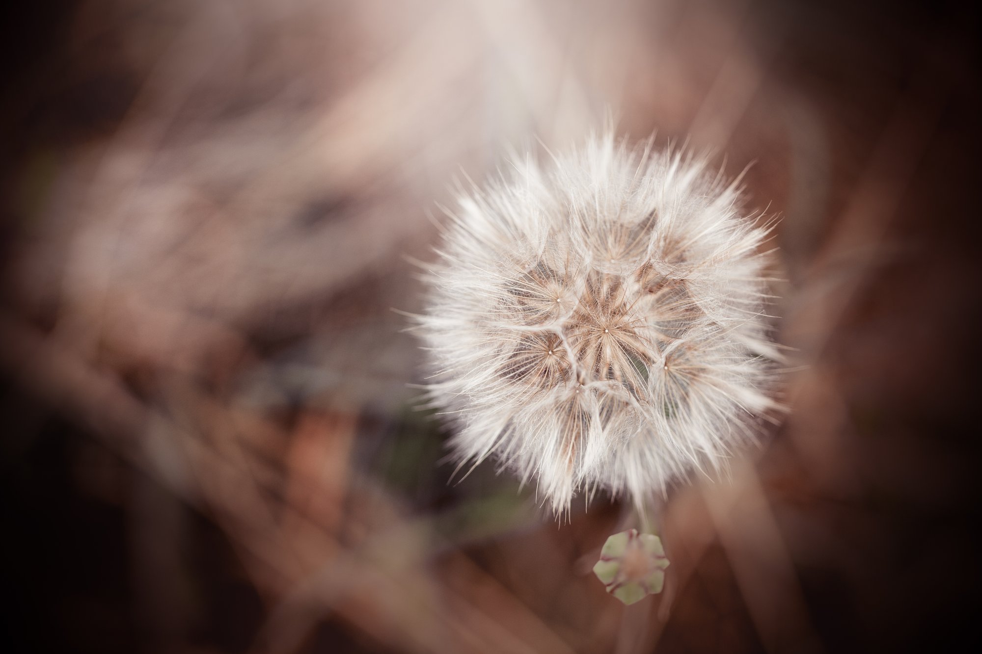 Im Schatten der Ungewissheit: Die unsichtbare Belastung eines unerfüllten Kinderwunsches - Teil 1