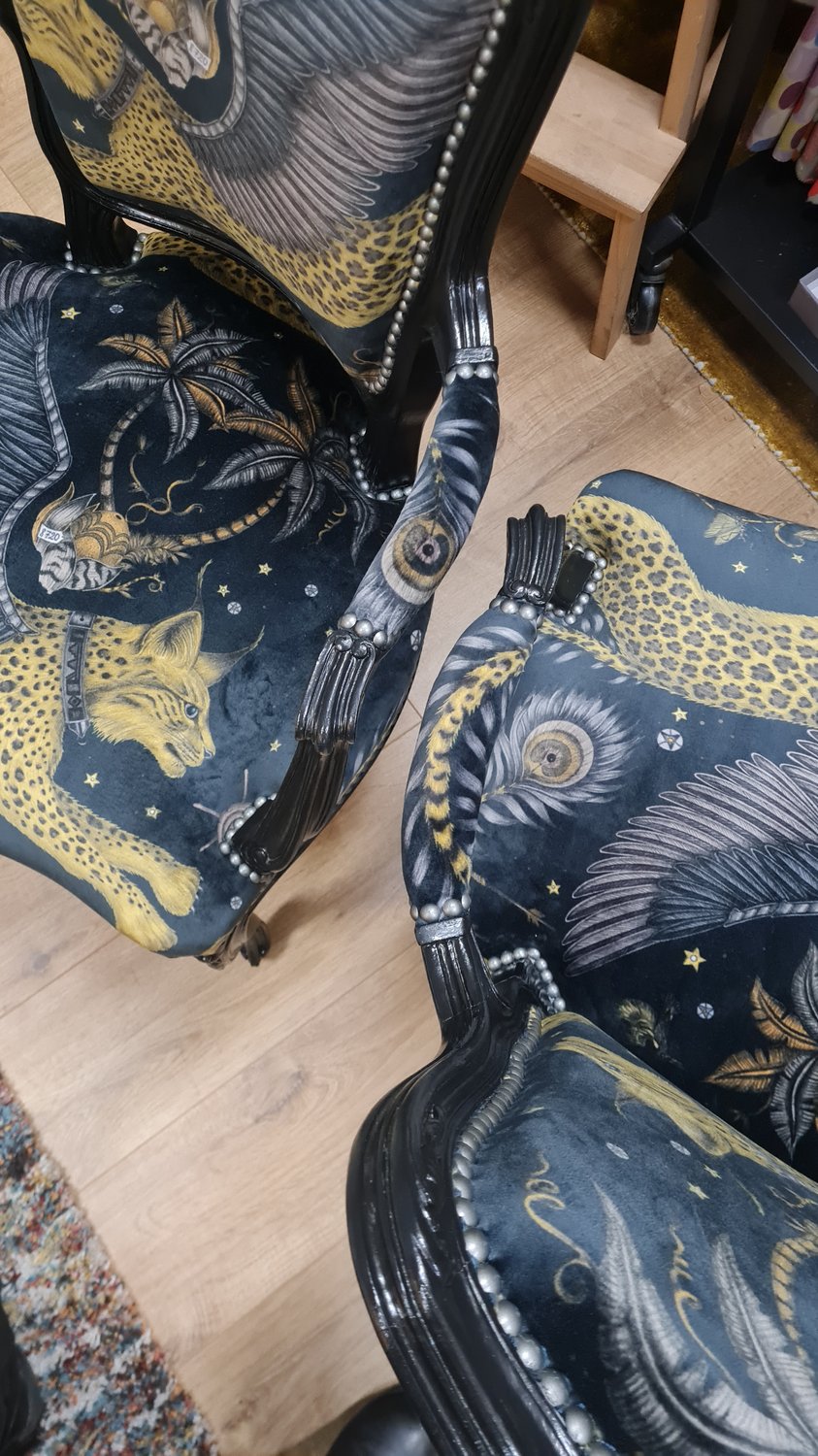 Cabriolet animalia Lynx