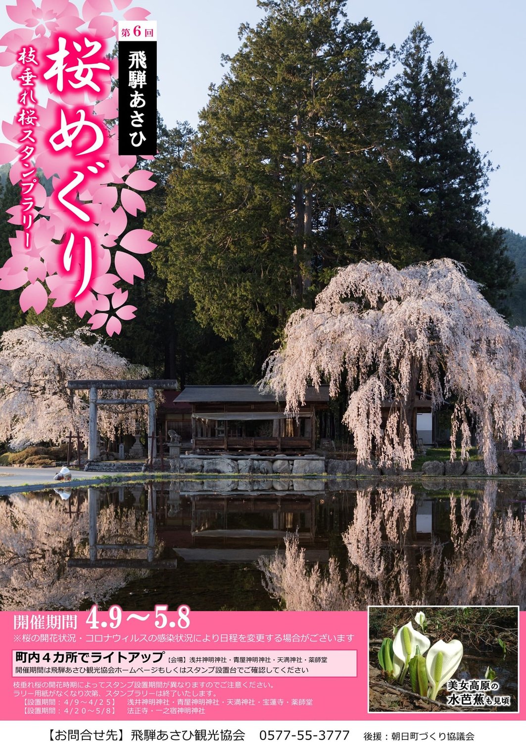 飛騨あさひ桜めぐりスタート！