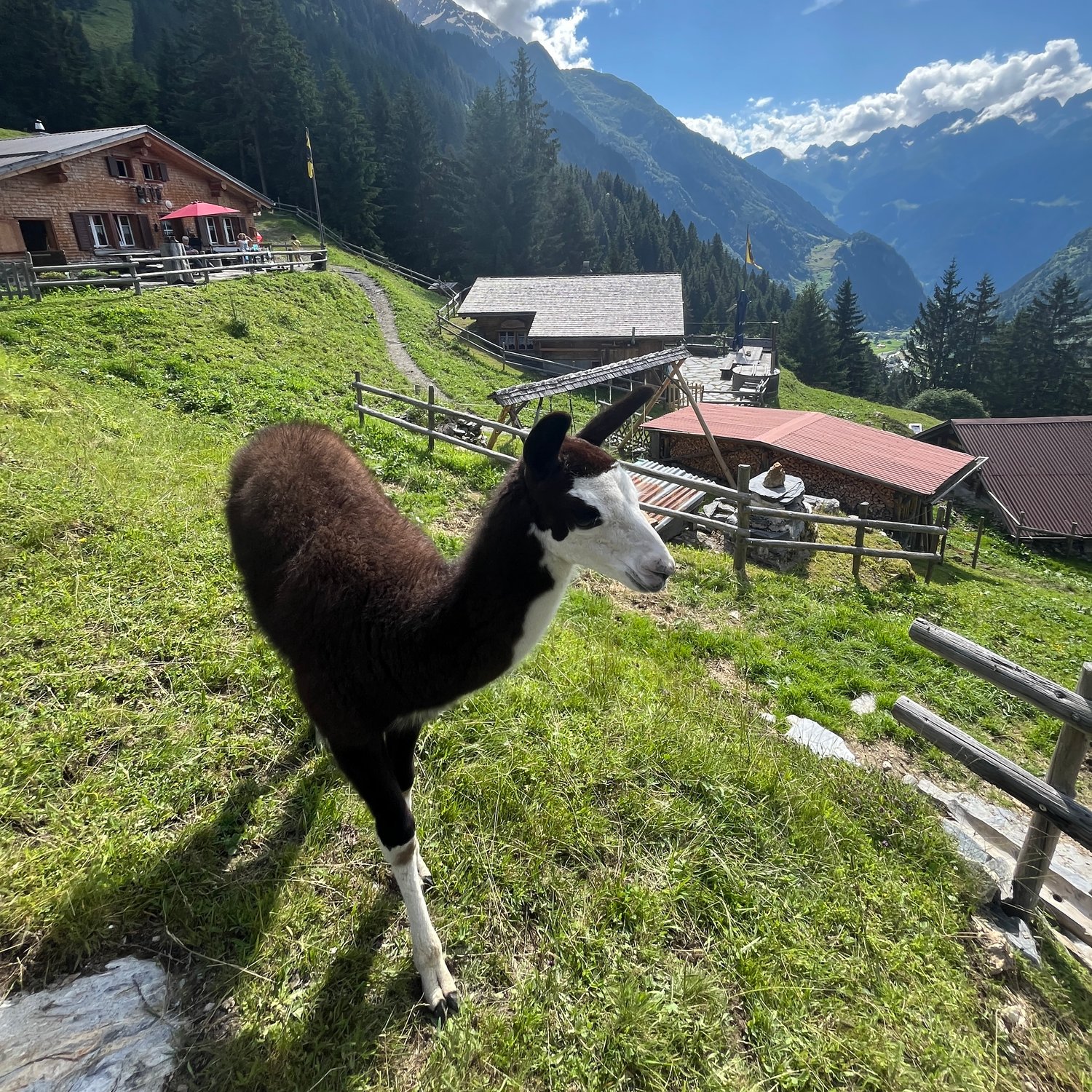 Finde deinen eigenen Weg
