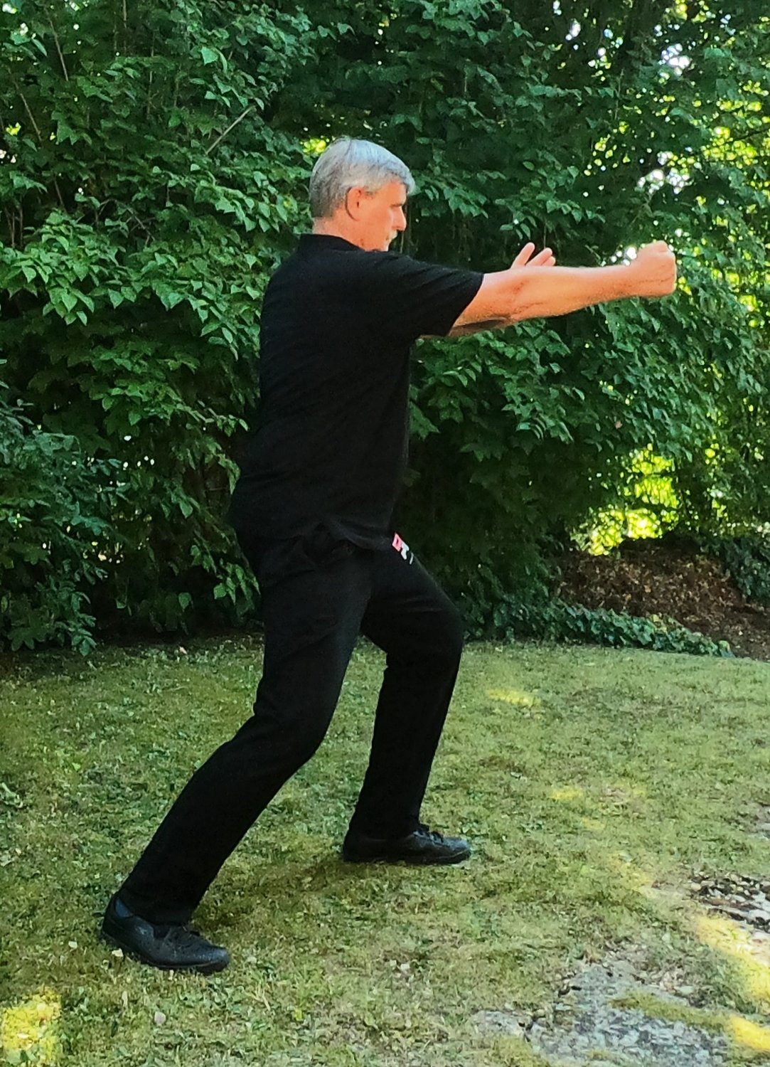 Geheimnisse des Tai Chi 15
