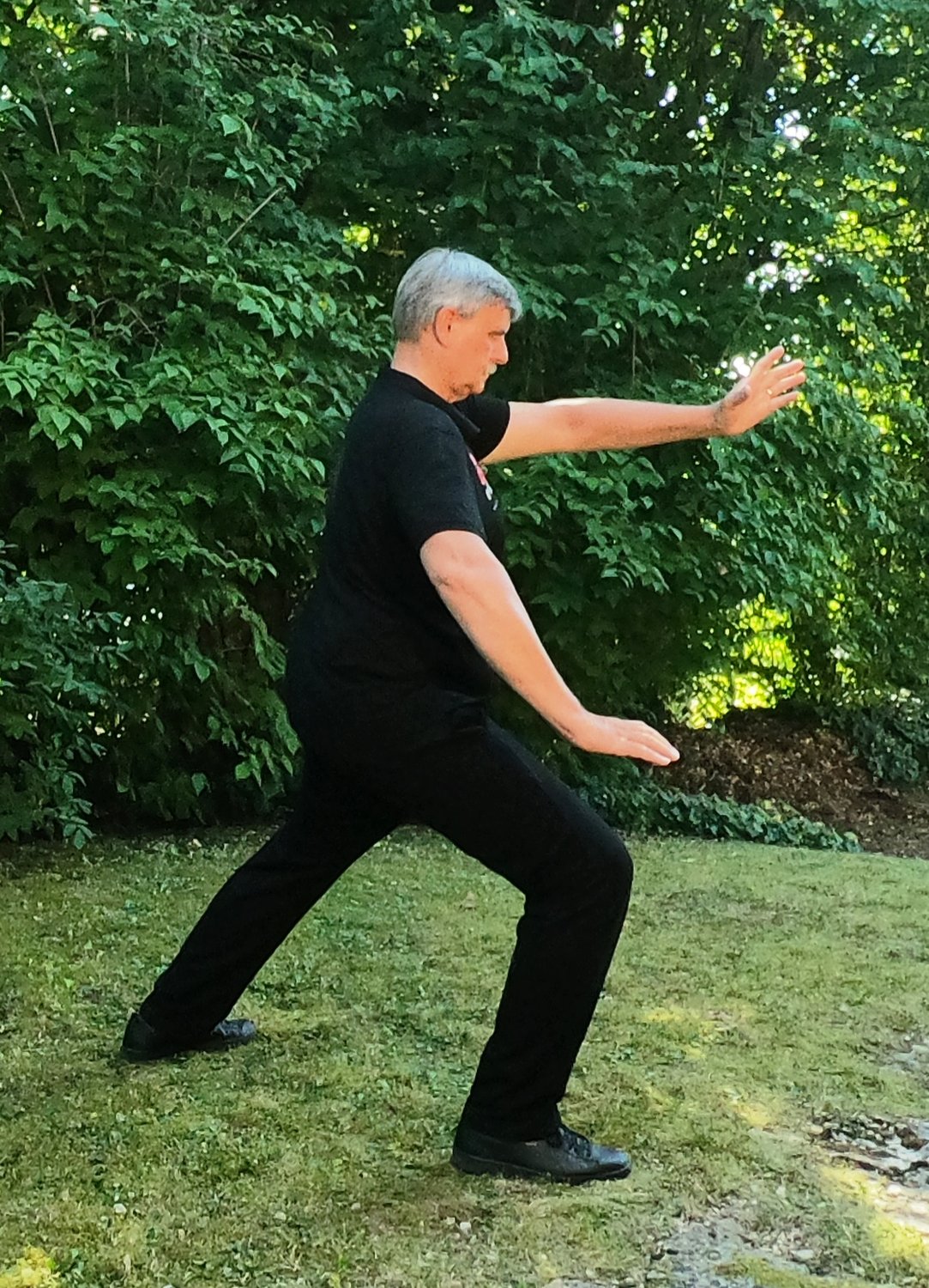 Geheimnisse des Tai Chi 16