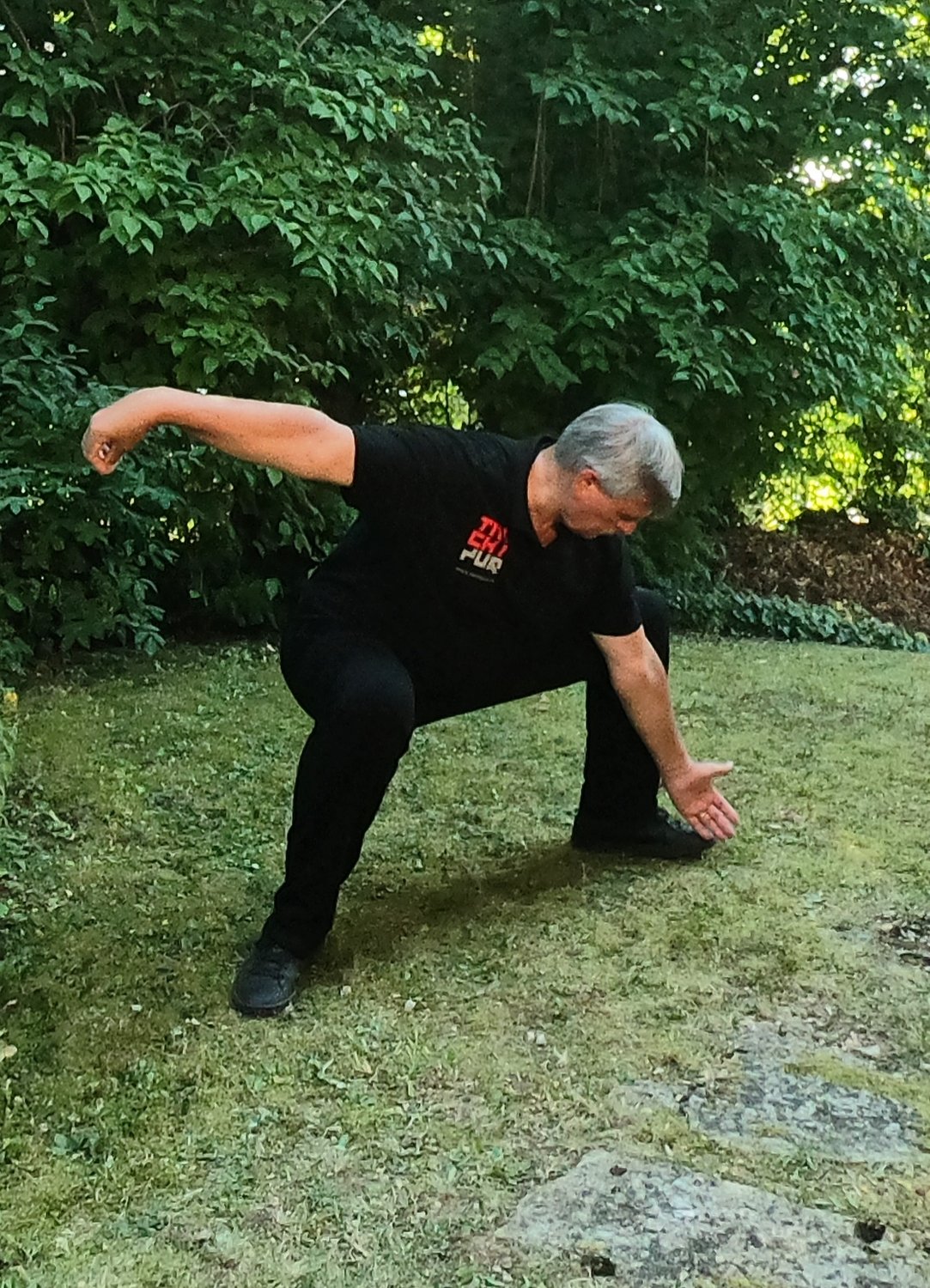 Geheimnisse des Tai Chi 17