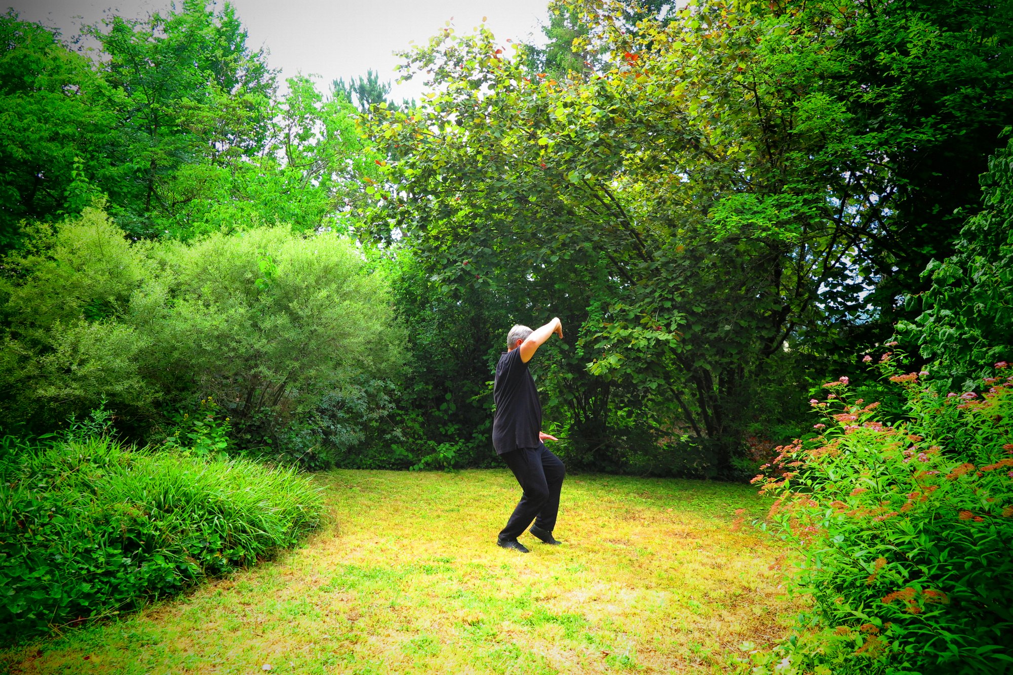 Geheimnisse des Tai Chi 11