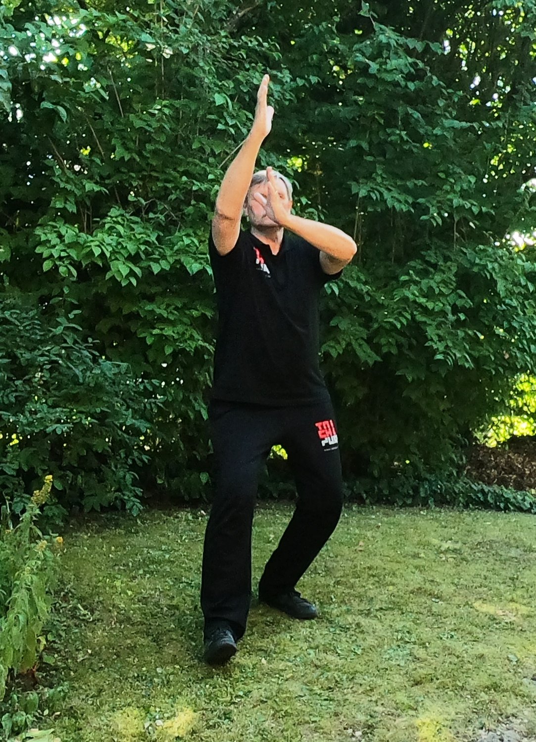 Geheimnisse des Tai Chi 13