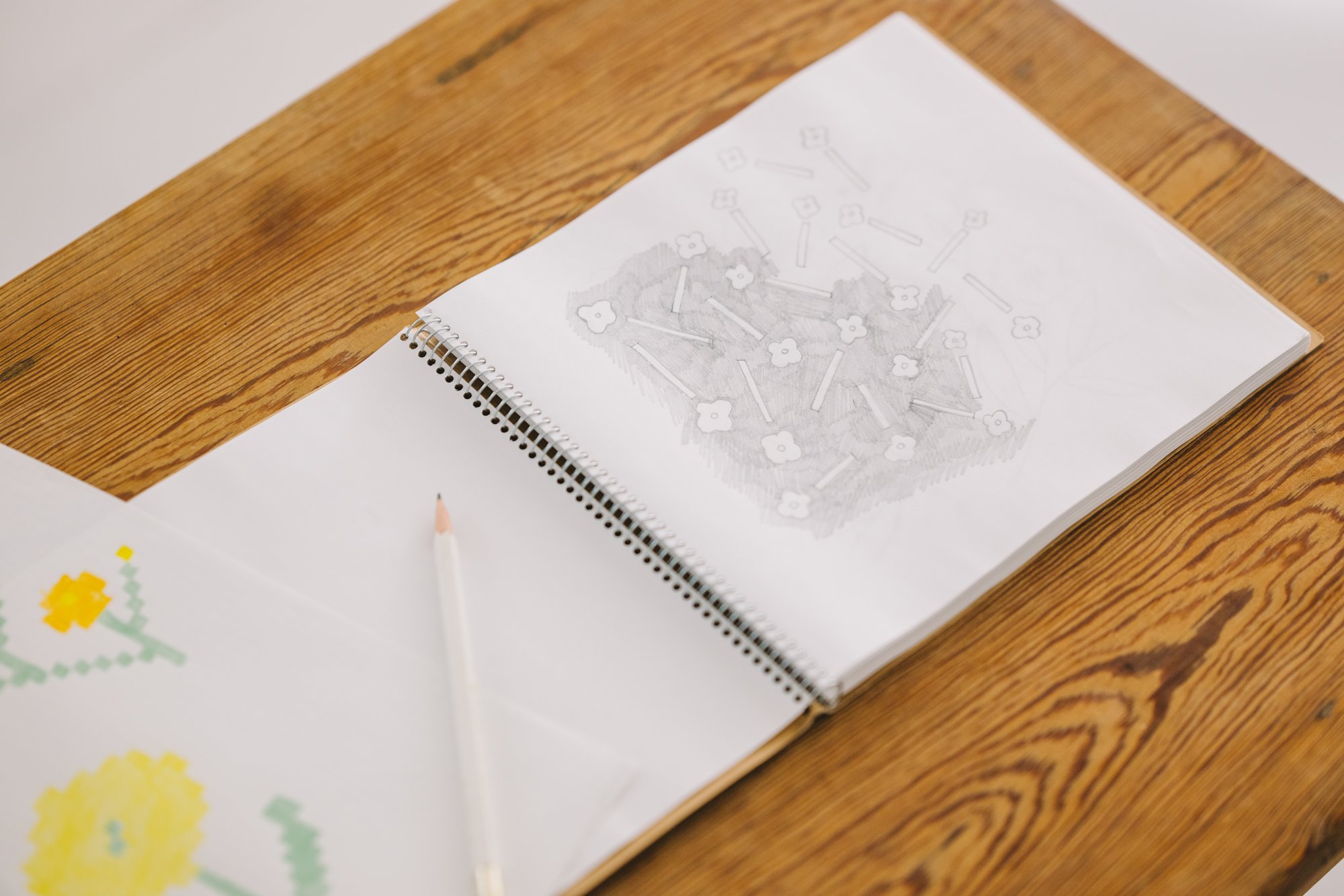 ９月１０月の予定