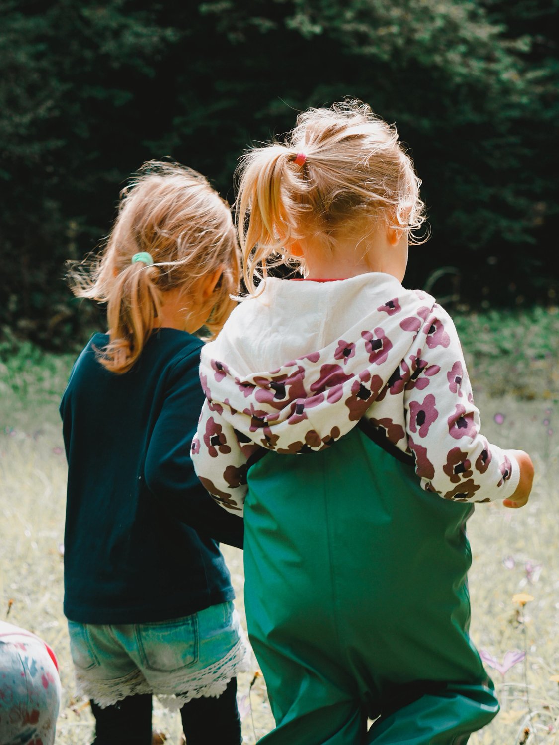 Kommt mit uns in den Wald