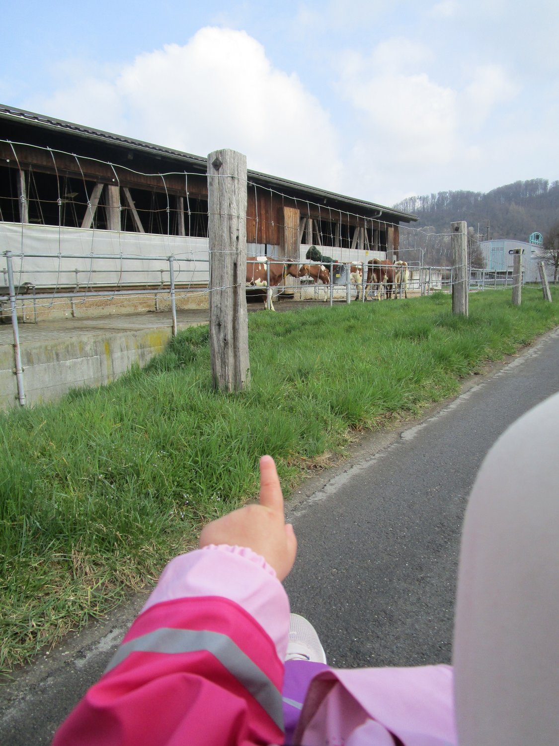 Ausflug zum Bauernhof