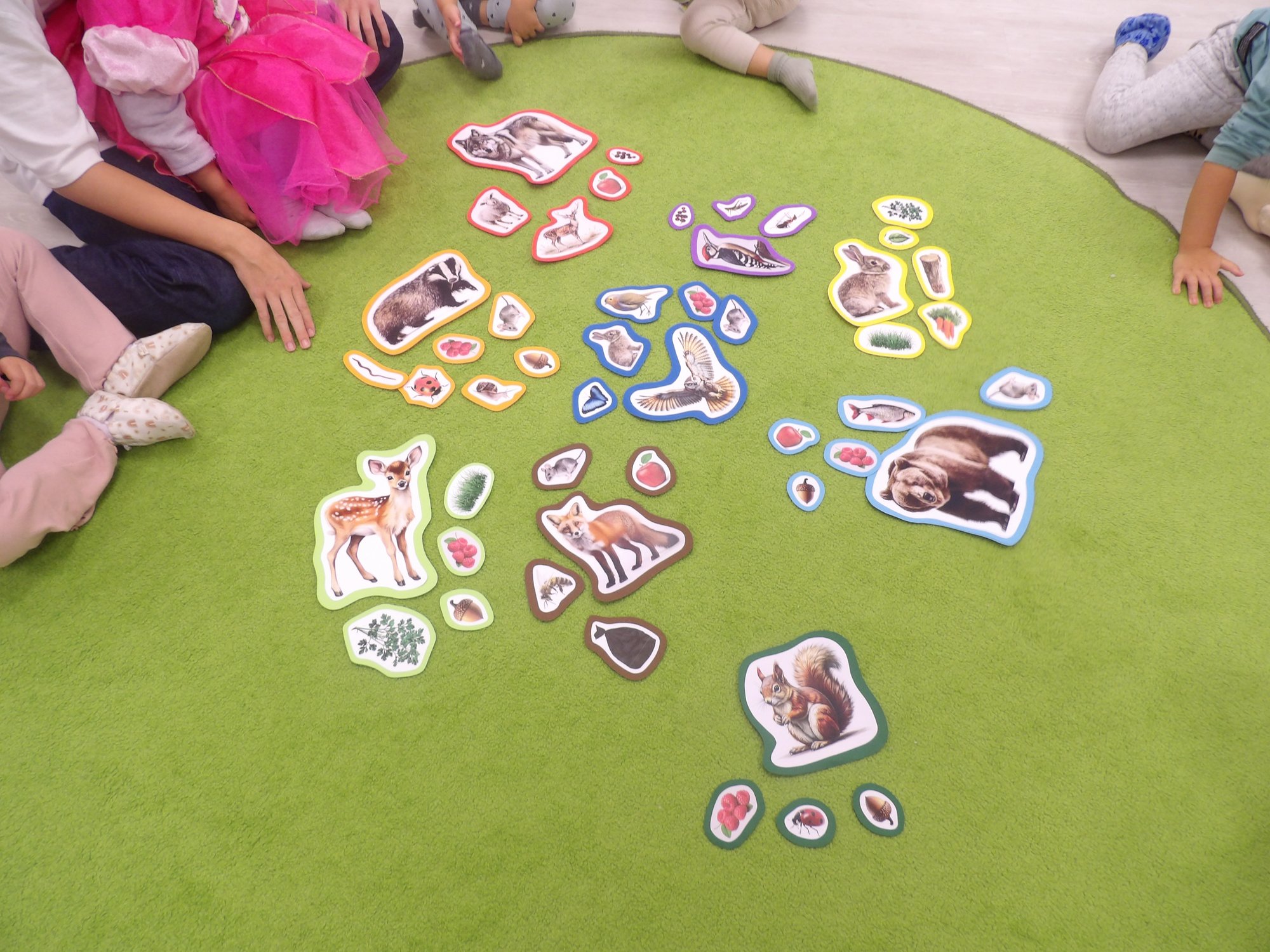 Wir entdecken die Waldtiere