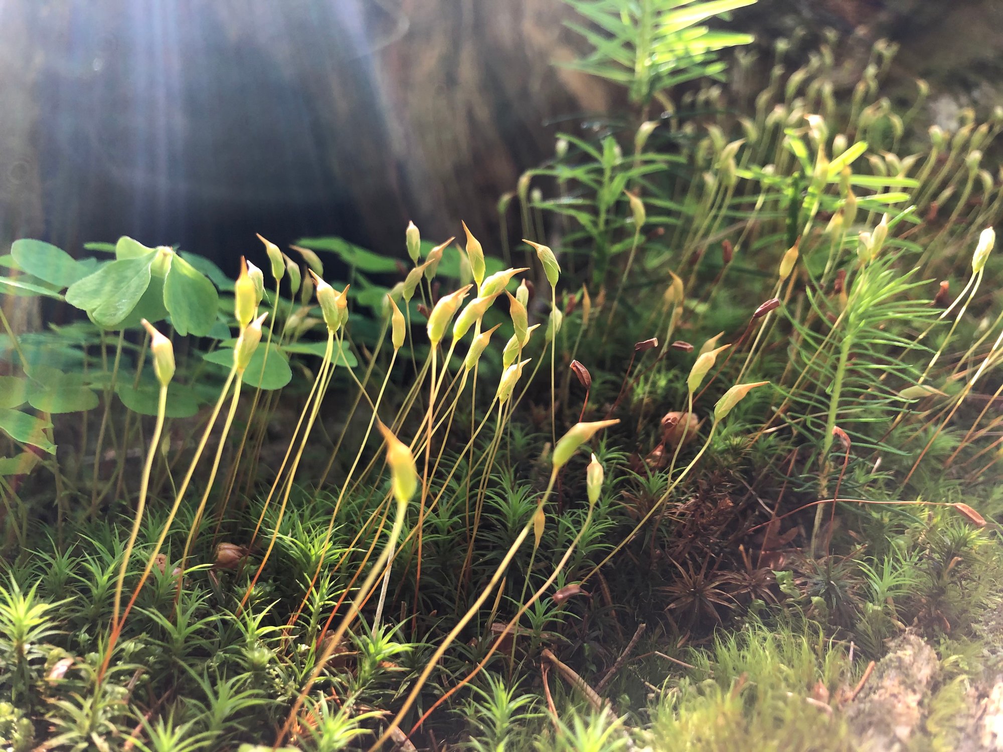 Wenn die Energie in zwischenmenschlichen Beziehungen nicht fließt...