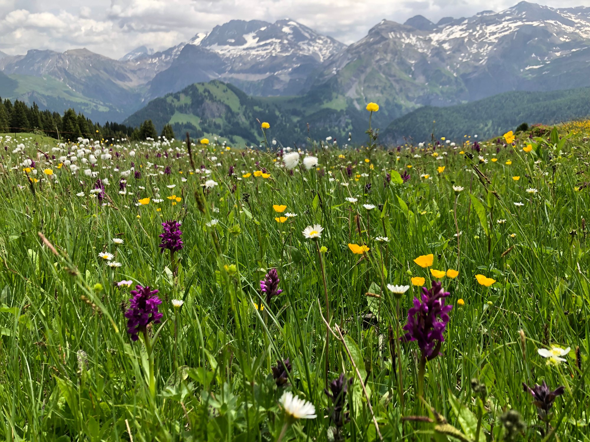 Sexualität als Spiegel ungelöster Beziehungsthemen