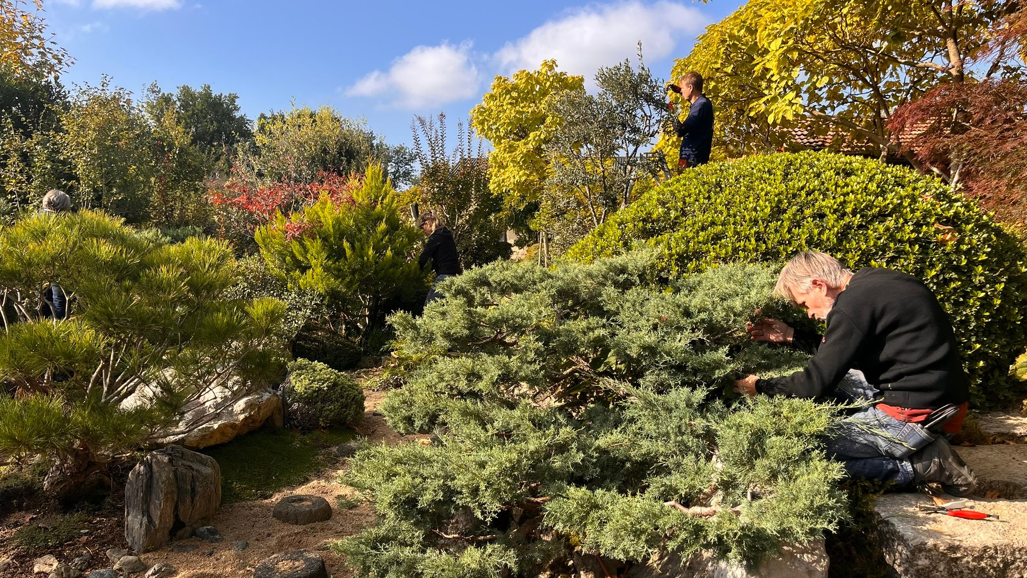 Atelier Jardin du mois d'octobre