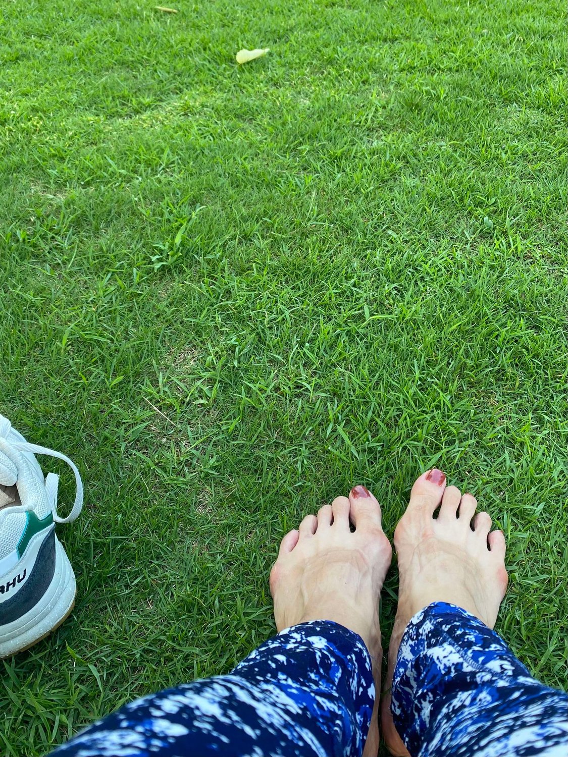 こんな話聞いたことなかった