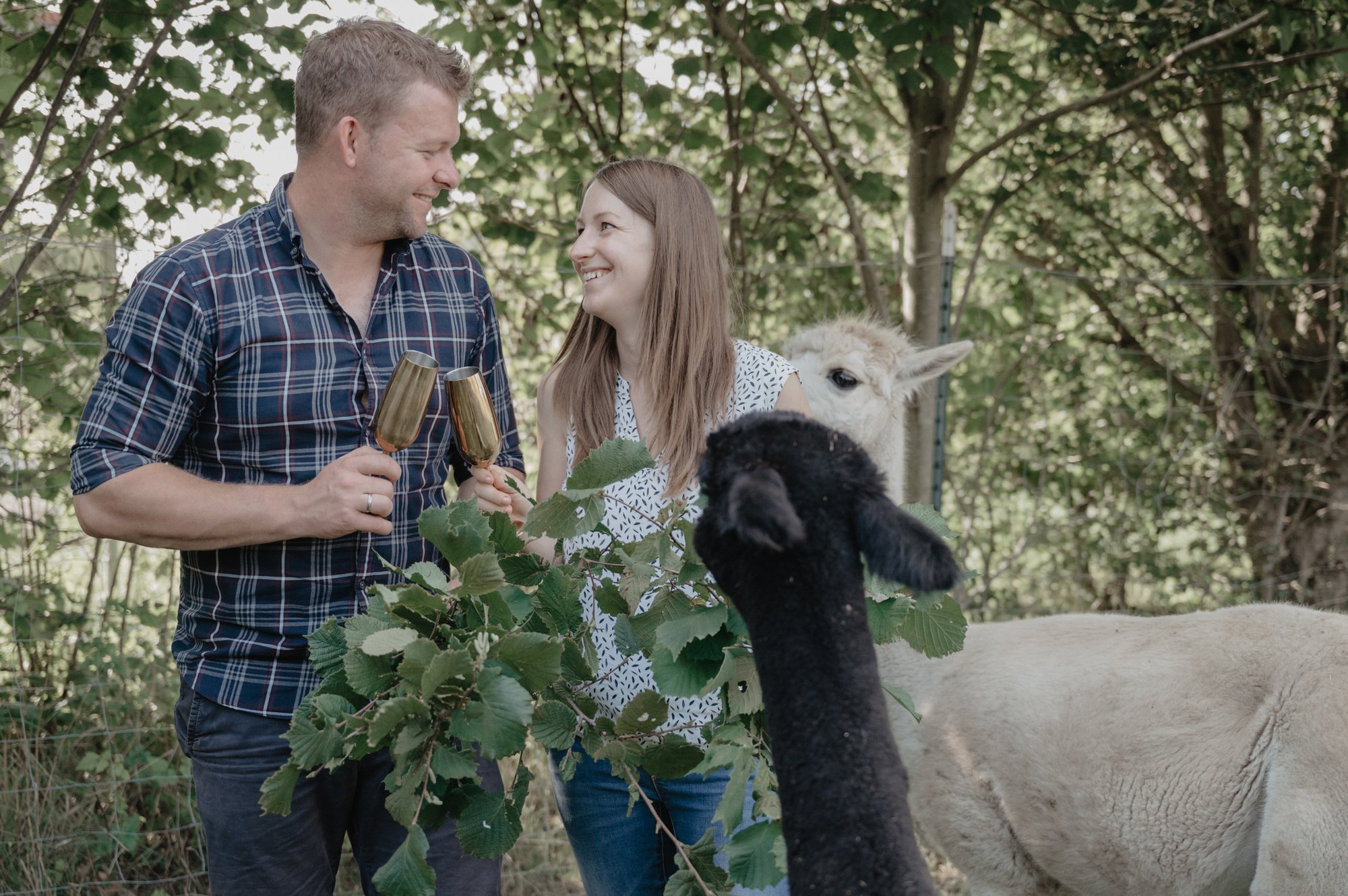 Valentinstag am Pointnerhof: Liebe, Natur und tierische Begleiter