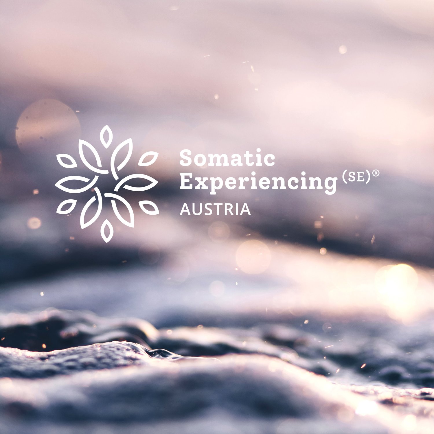 Generalversammlung 27.6.2025