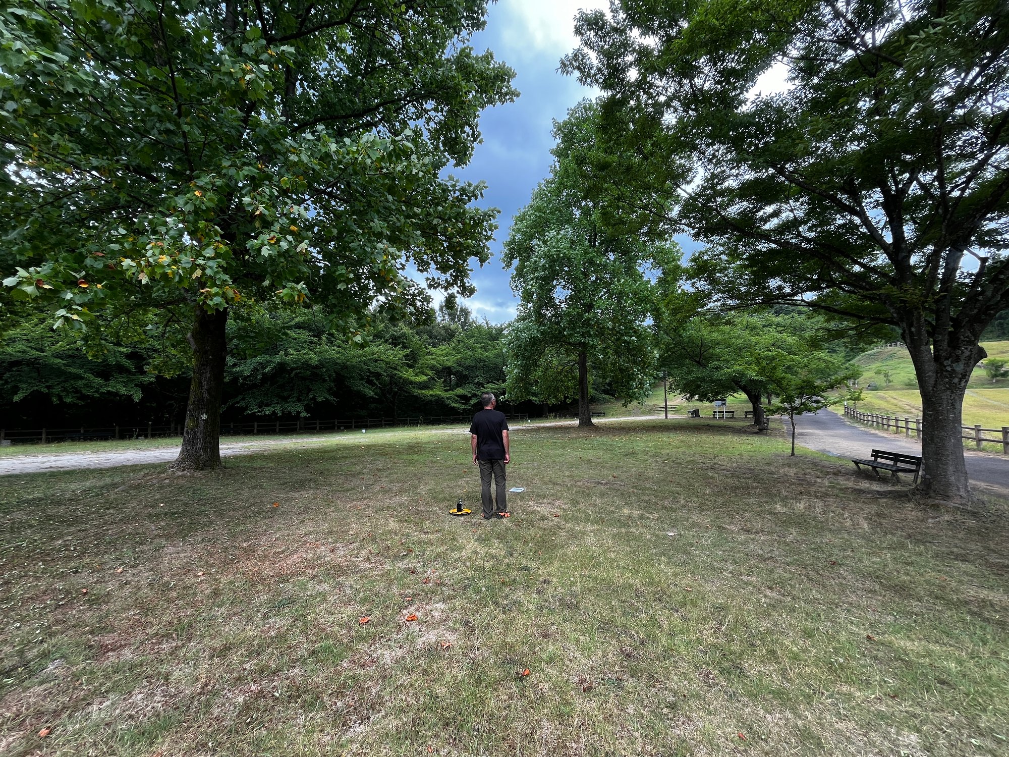 次の日曜がせーばなる