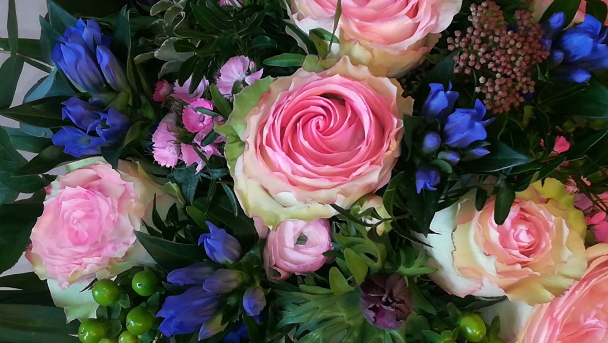 Bestellen Sie Sommerflor